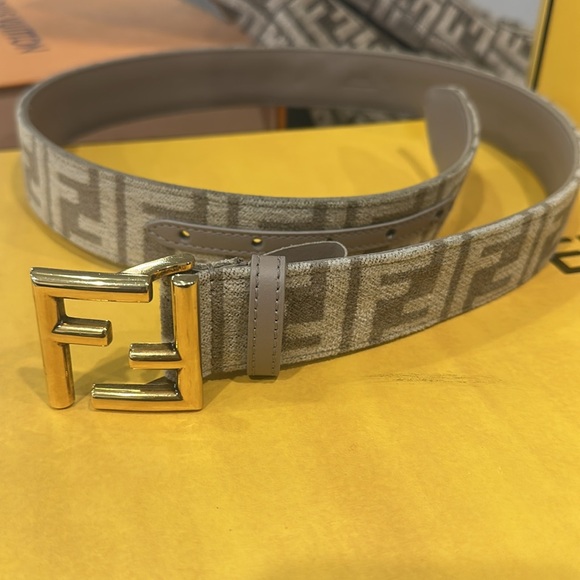 Fendi Brown and Gold women Belt Bag - Picture 17 of 17